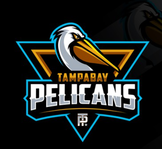 Team logo