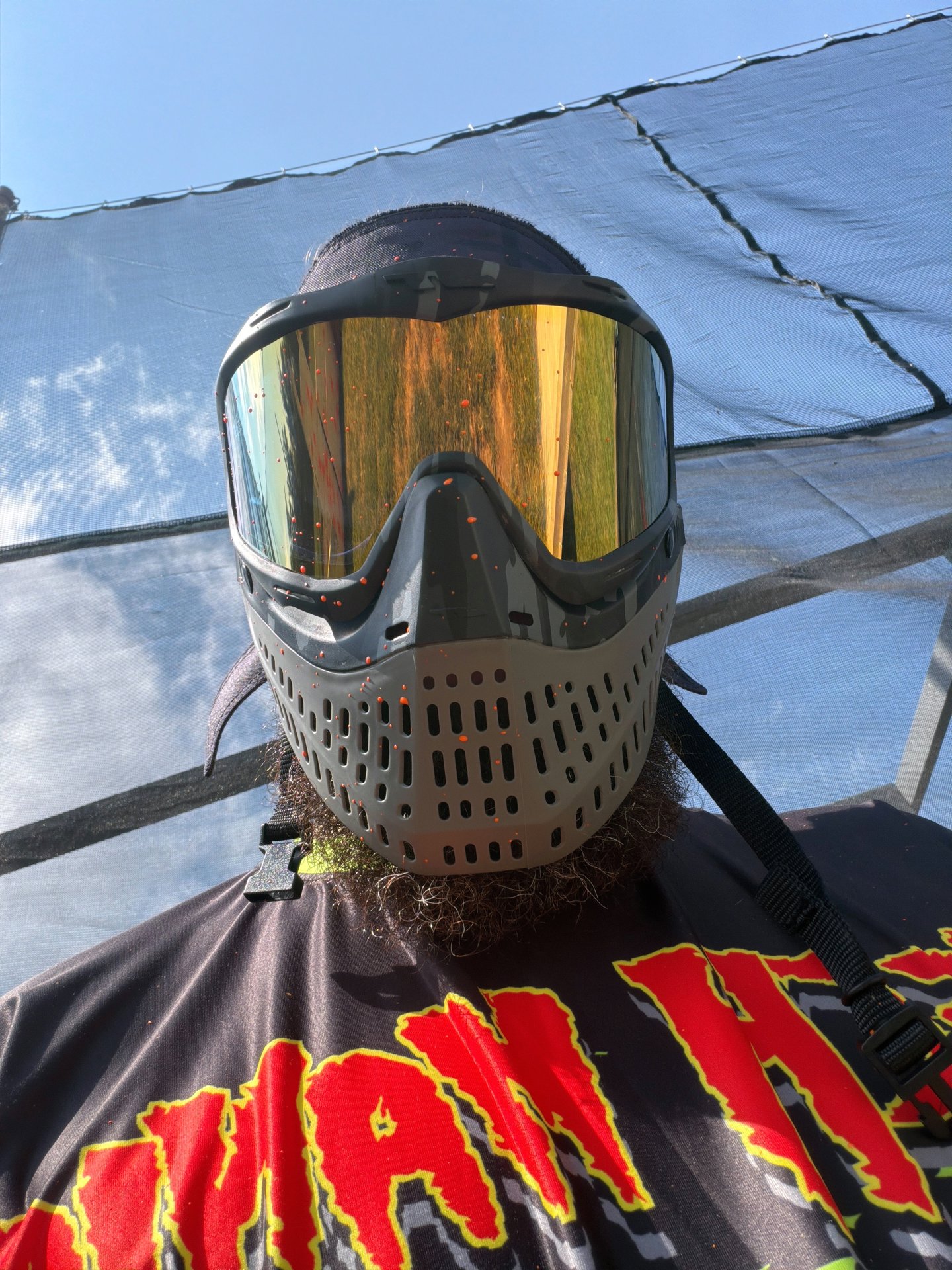 David Harvey photo