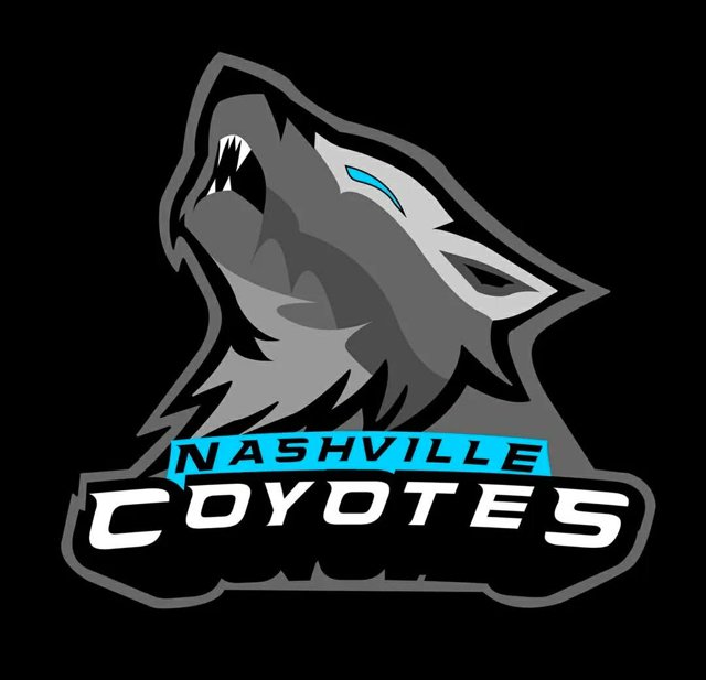 Team logo